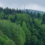 Homestay Olimpijska