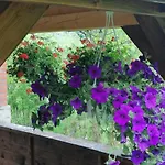 Homestay Olimpijska