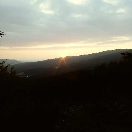 Olimpijska Homestay *