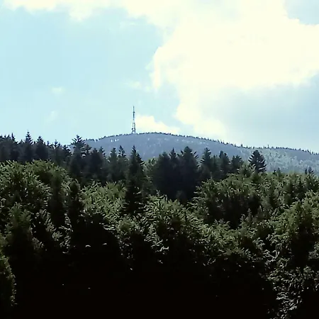 Olimpijska Щирк
