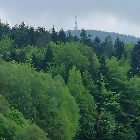 Homestay Olimpijska