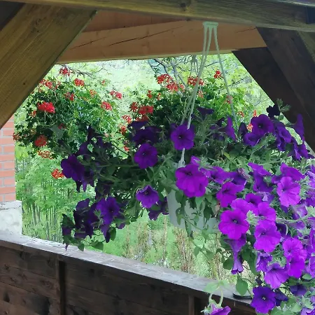 Rum i privatbostad Olimpijska