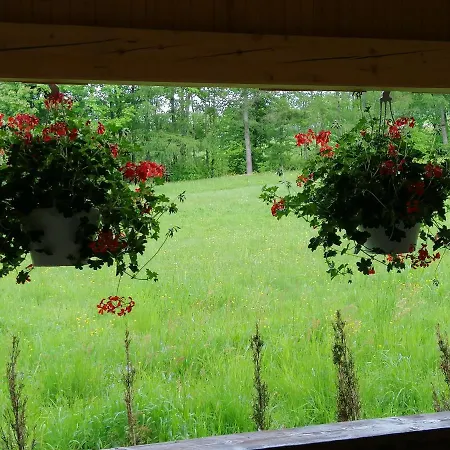 Homestay Olimpijska *
