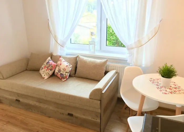 Homestay Olimpijska *