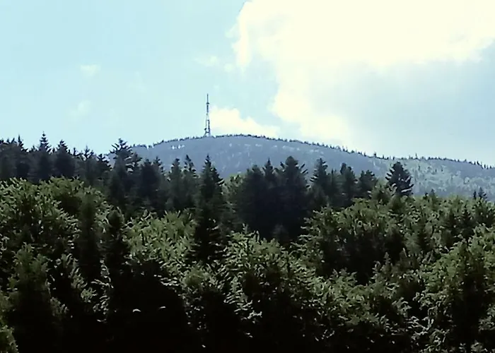 Olimpijska 什切尔克