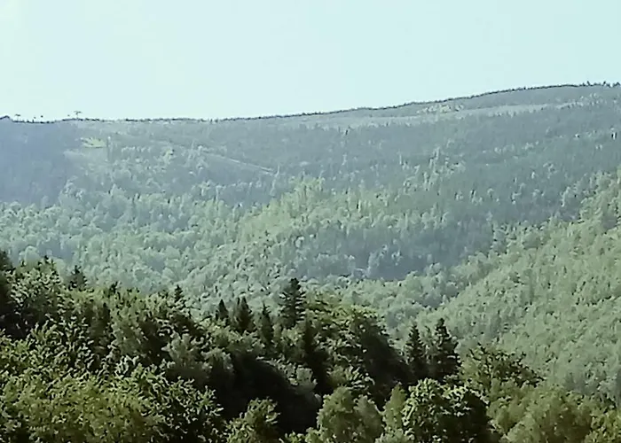 Olimpijska Homestay *