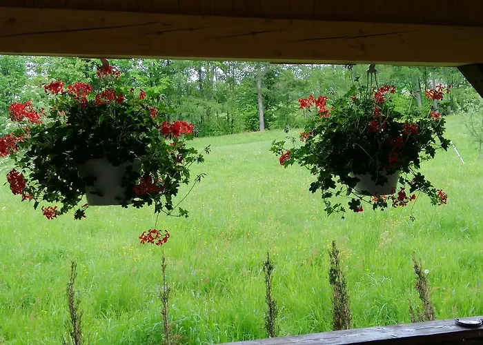 Homestay Olimpijska *