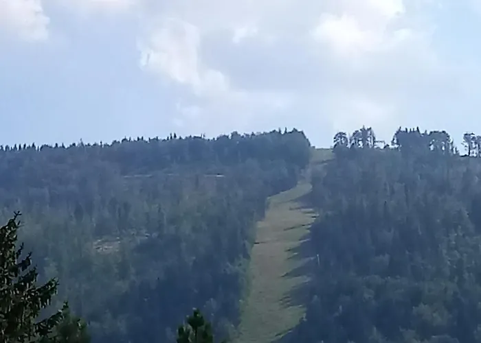 Olimpijska * 什切尔克